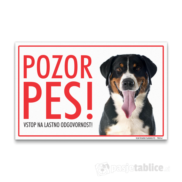 veliki-svicarski-plansarski-pes-1