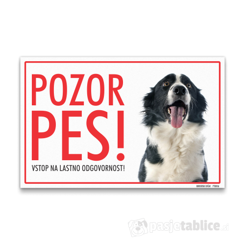 borderski ovčar