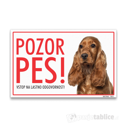 koker španjel