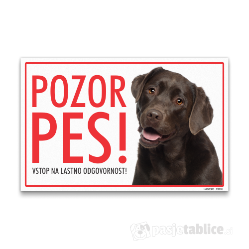 labradorec 1