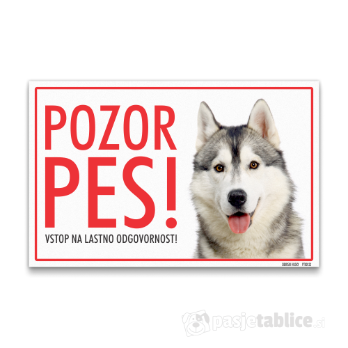 sibirski husky
