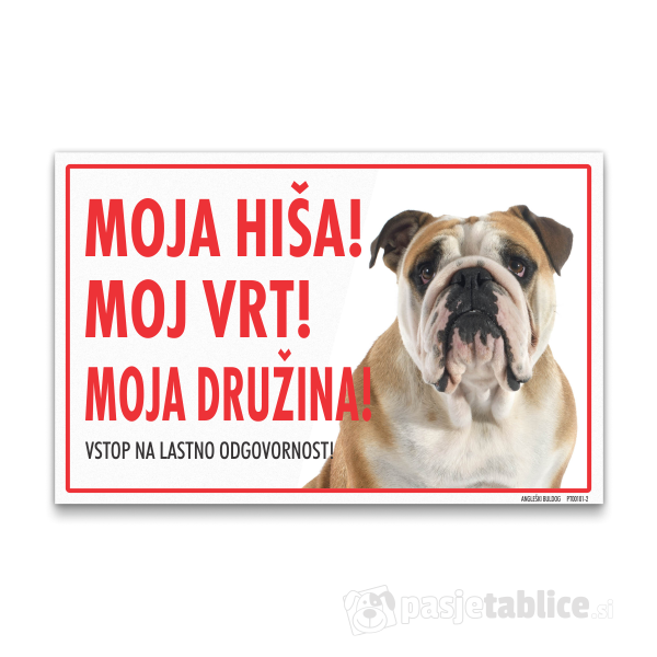 angleski-buldog-2
