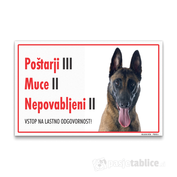 belgijski-ovcar-6