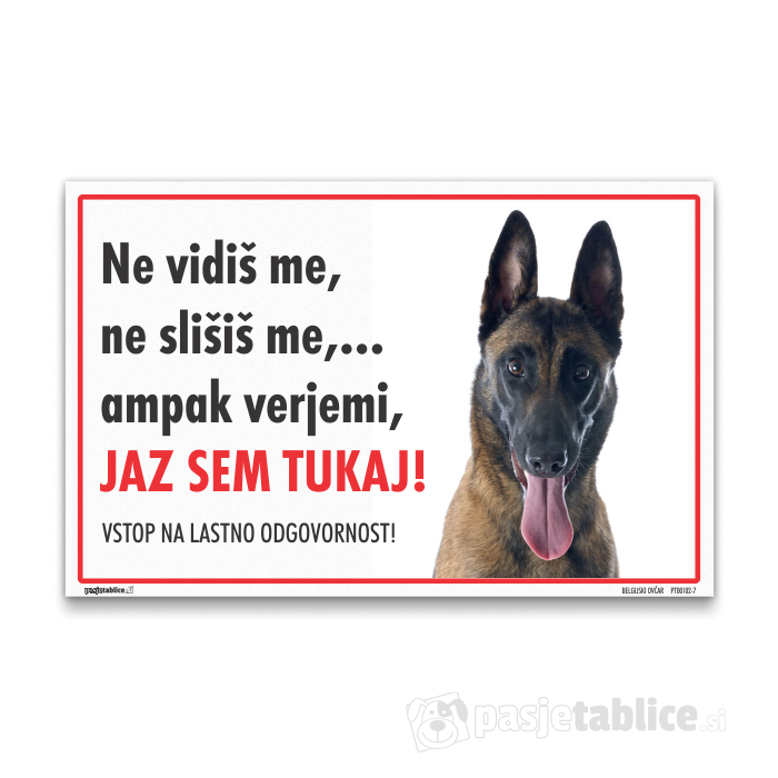 BELGIJSKI OVČAR 7