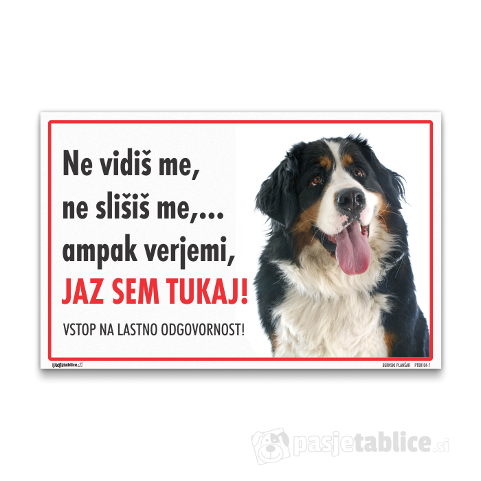 BERNSKI PLANŠAR 7