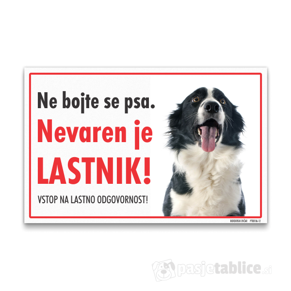 borderski-ovcar-12