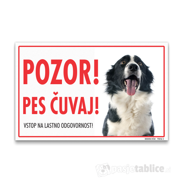 borderski-ovcar-13