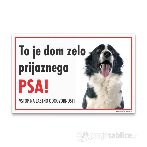 borderski-ovcar-14