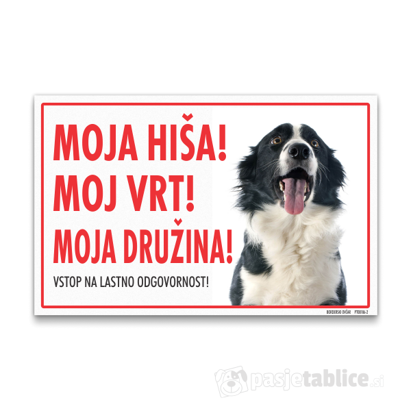 borderski-ovcar-2