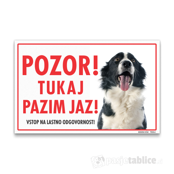 borderski-ovcar-5
