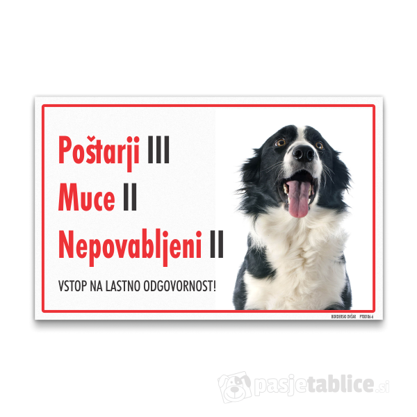 borderski-ovcar-6