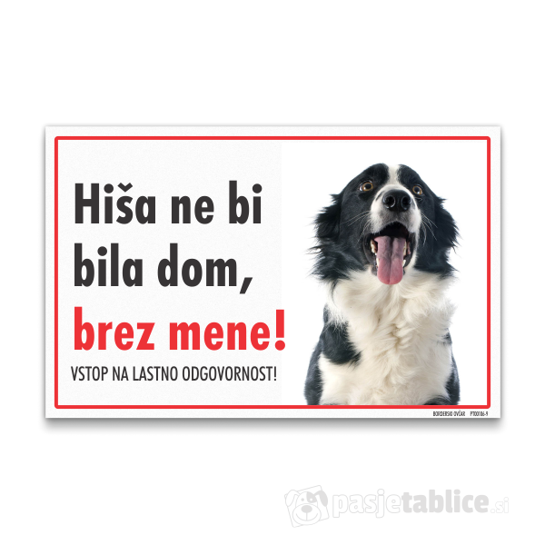 borderski-ovcar-9