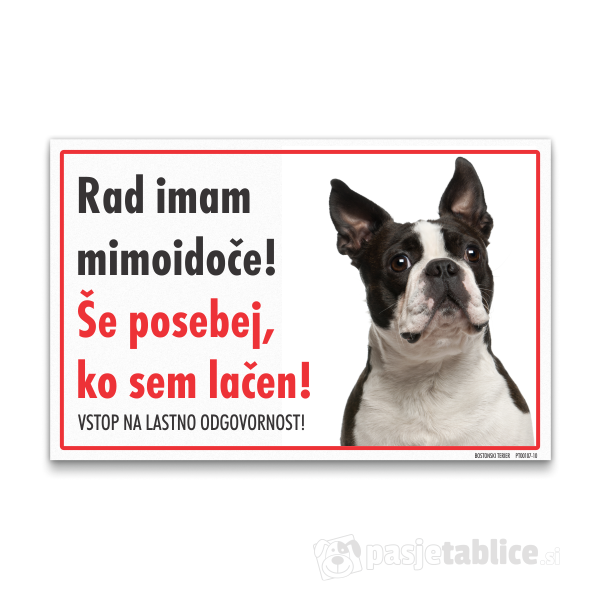 bostonski-terier-10