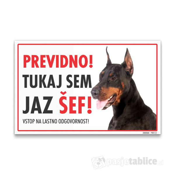 doberman-3