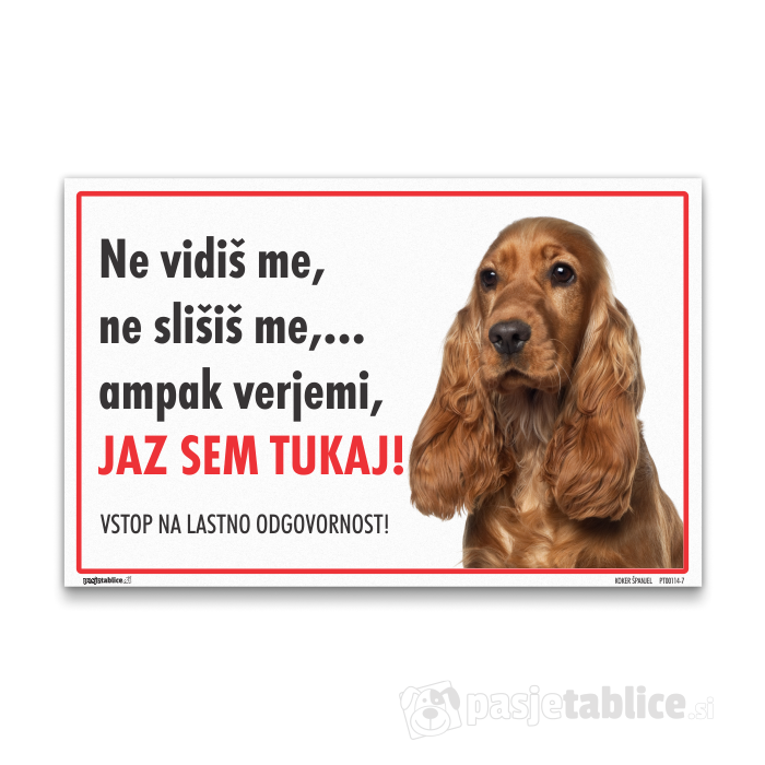 KOKER ŠPANJEL 7