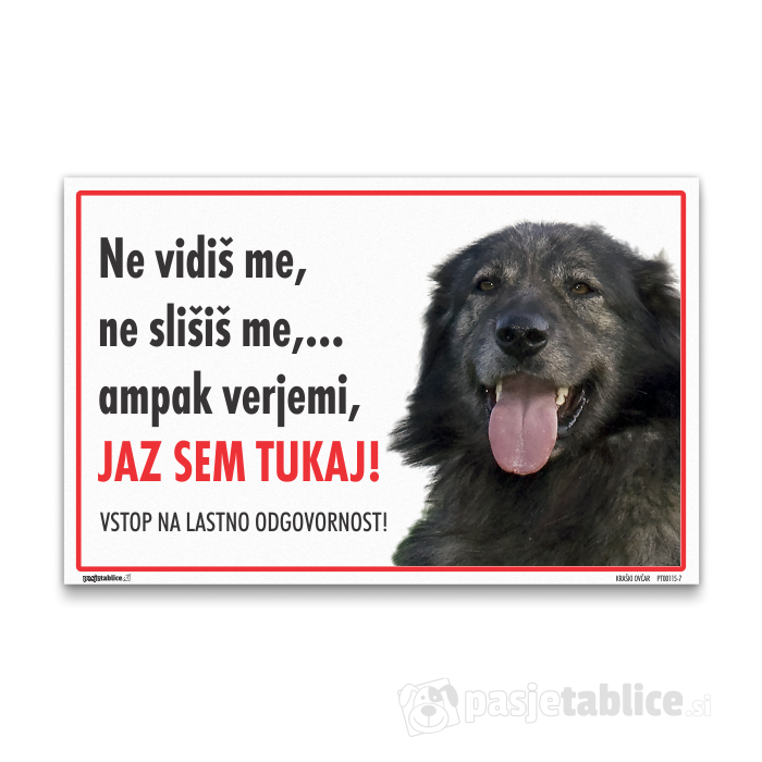 KRAŠKI OVČAR 7