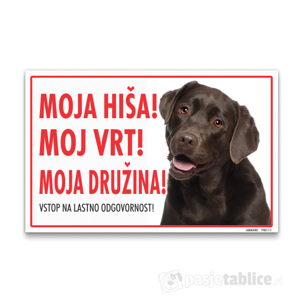 labradorec-rjavi-2