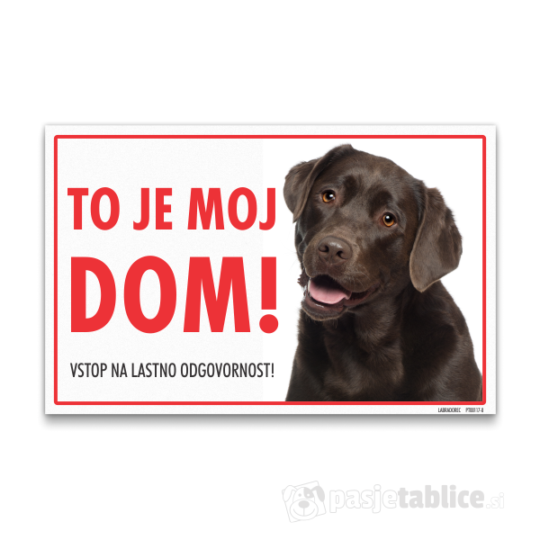 labradorec-rjavi-8