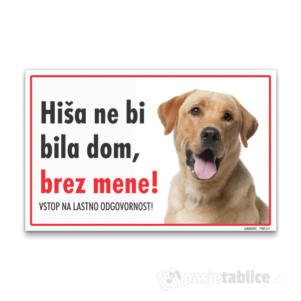 labradorec-svetli-9
