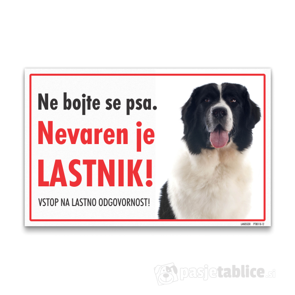 landseer-12