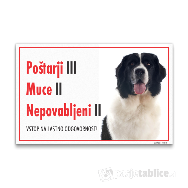 landseer-6