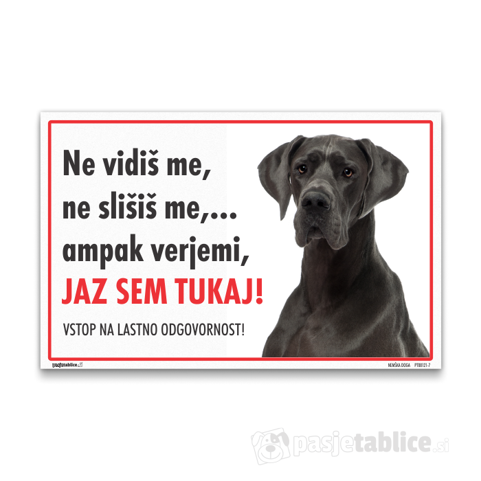 NEMŠKA DOGA 7