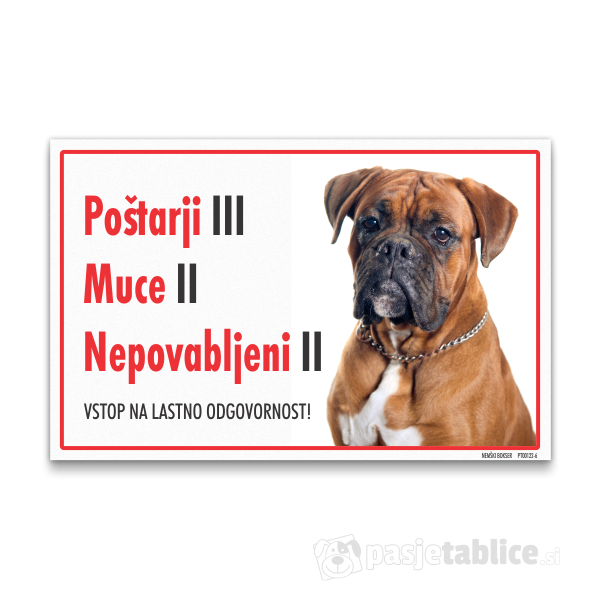 nemski-bokser-6
