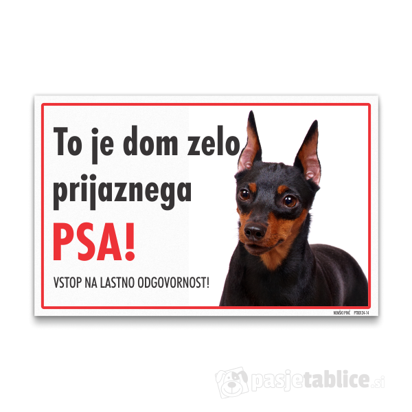 nemski-pinc-14
