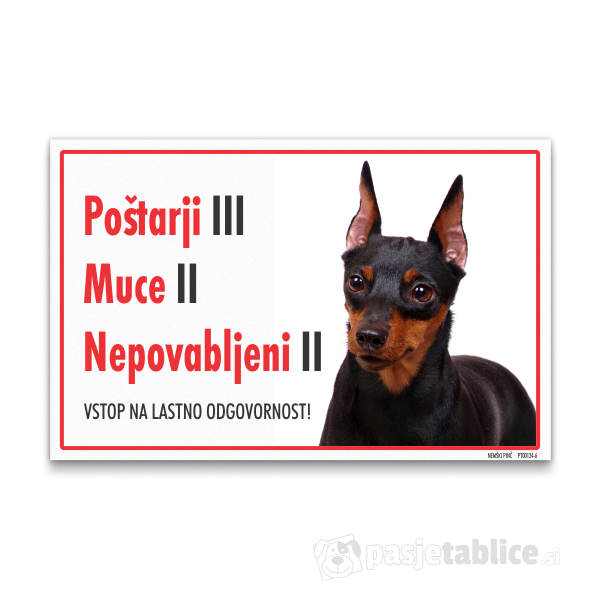 nemski-pinc-6