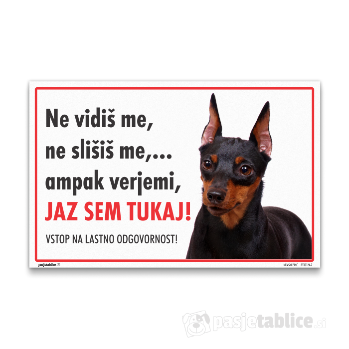 NEMŠKI PINČ 7