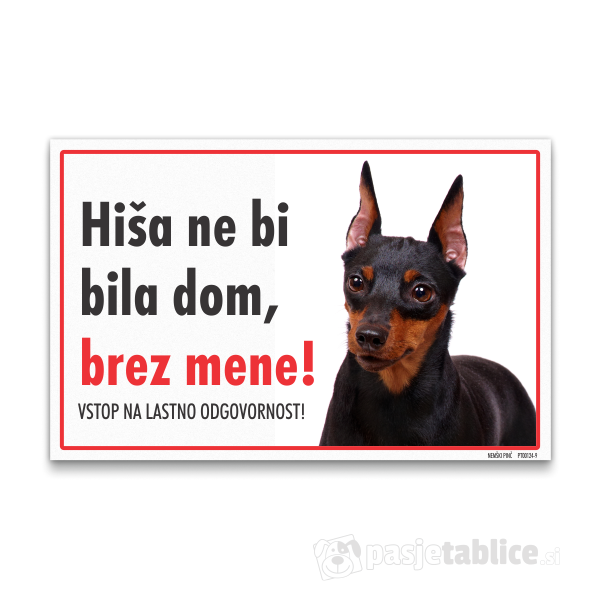 nemski-pinc-9
