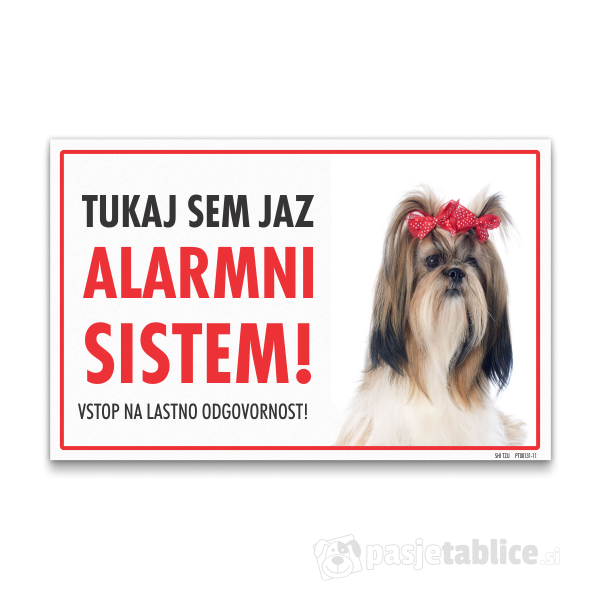 shi-tzu-11