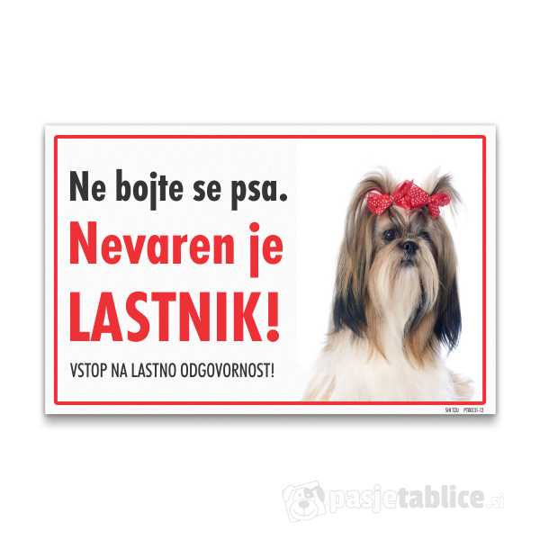 shi-tzu-12
