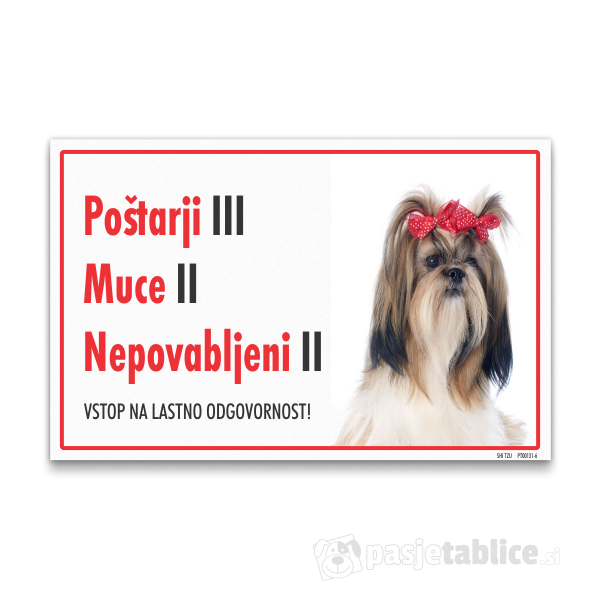 shi-tzu-6