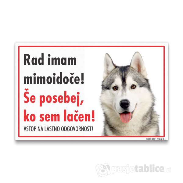 sibirski-husky-10