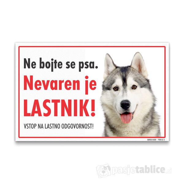 sibirski-husky-12