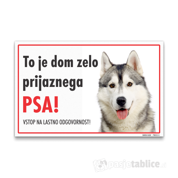 sibirski-husky-14