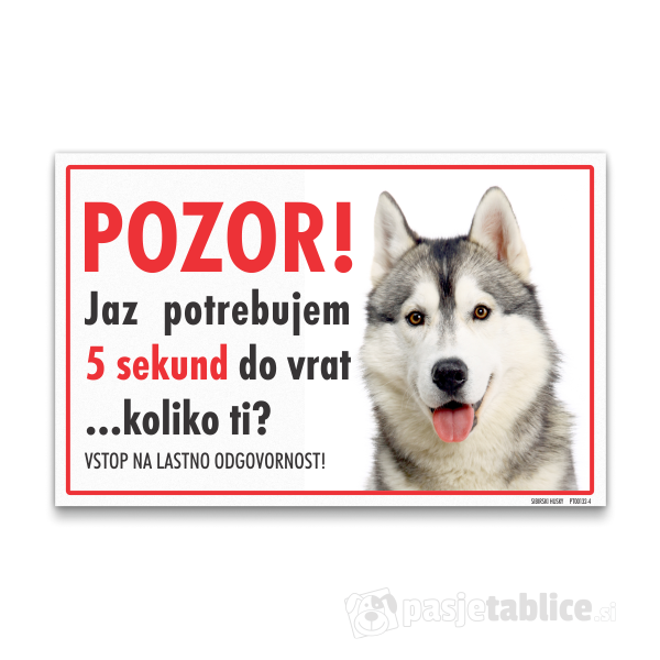 sibirski-husky-4