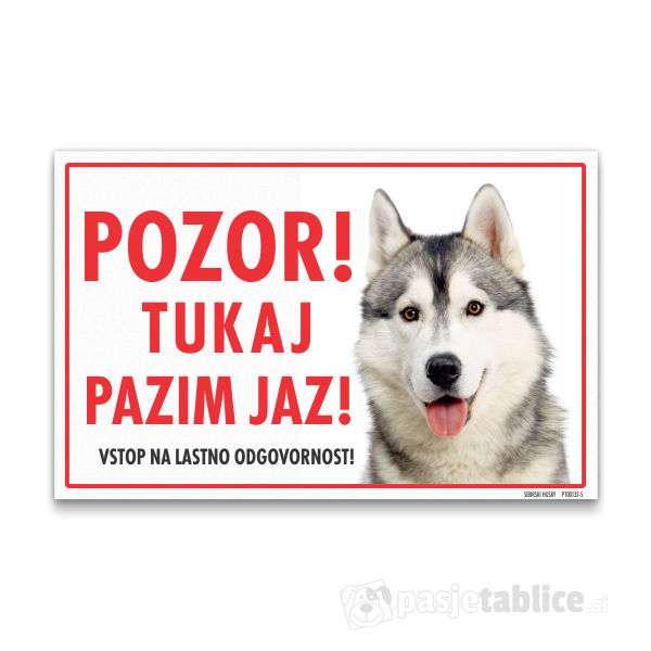 sibirski-husky-5