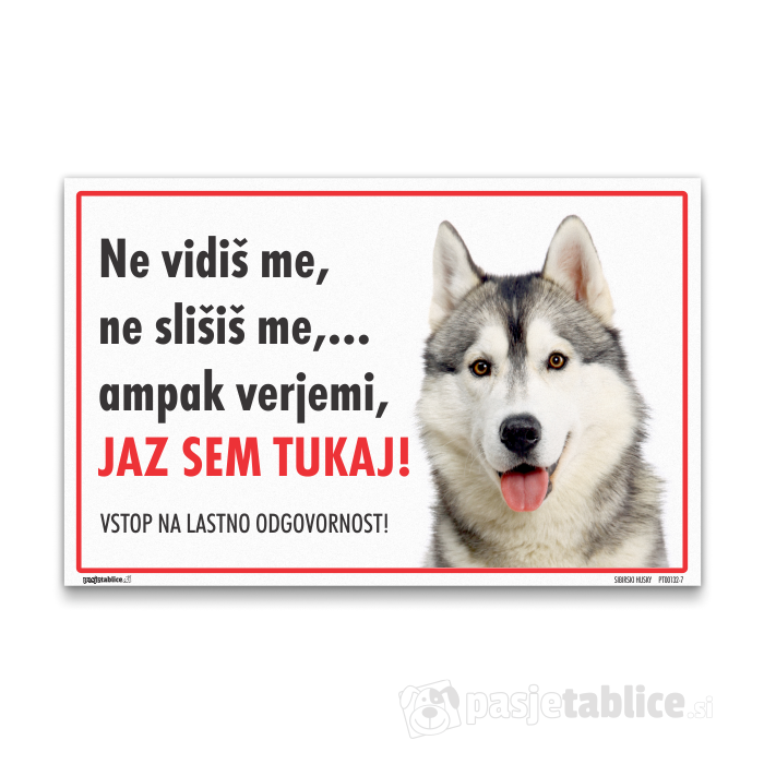 SIBIRSKI HUSKY 7