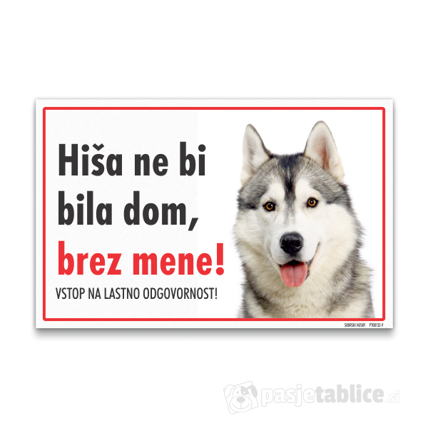sibirski-husky-9