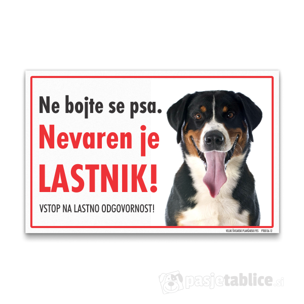 veliki-svicarski-plansarski-pes-12
