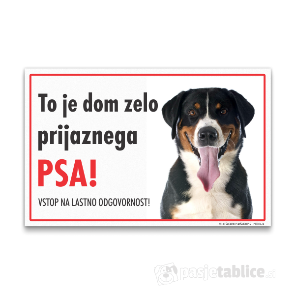veliki-svicarski-plansarski-pes-14