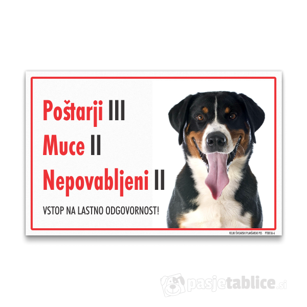 veliki-svicarski-plansarski-pes-6