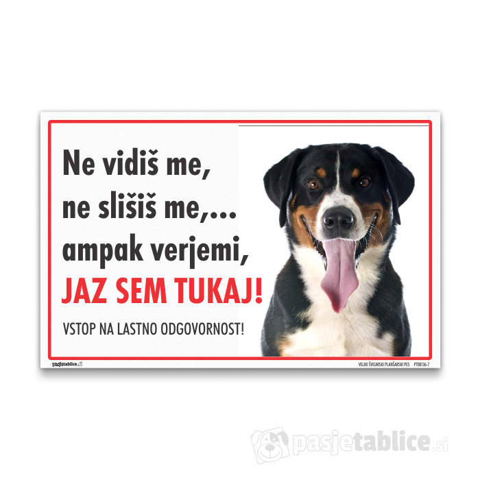 VELIKI ŠVICARSKI PLANŠARSKI PES 7
