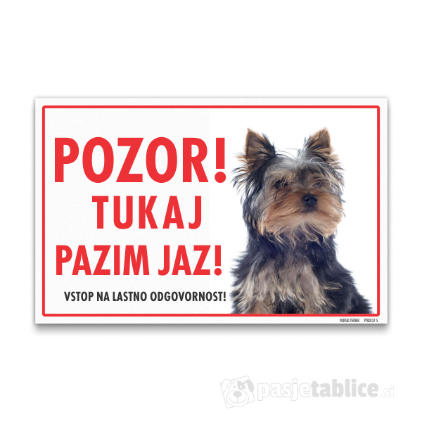 yorski-terier-5
