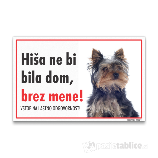 yorski-terier-9