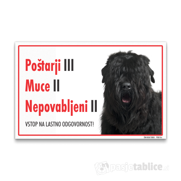 crni-ruski-terier-6