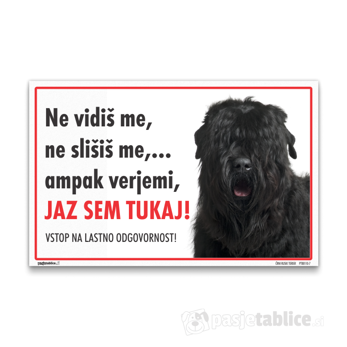 ČRNI RUSKI TERIER 7
