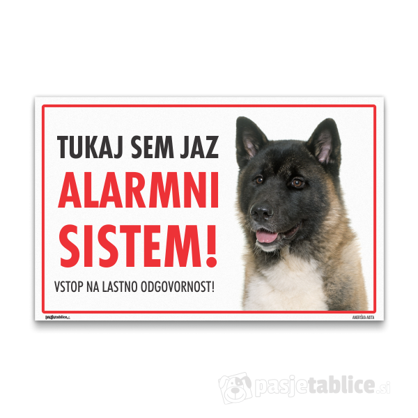 ameriska-akita-11